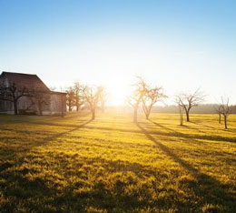 manetie immo photo campagne qui sommes-nous